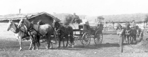 C&E Trail stagecoach at Barnett's near Lacombe 1880s - Glenbow Archives